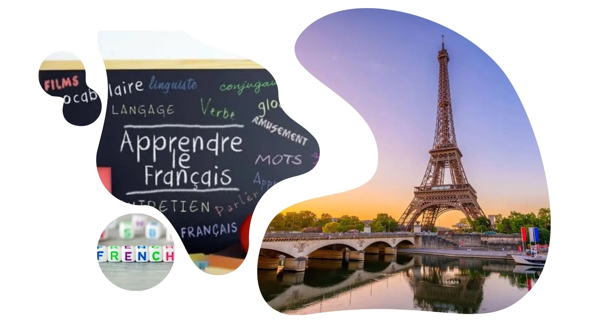 Orkid Language Academy 